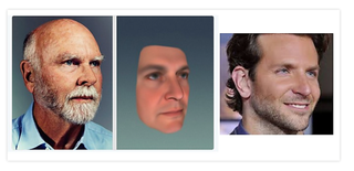 Image: Screenshot via Yaniv Erlich